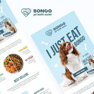 Read more about the article Bongo