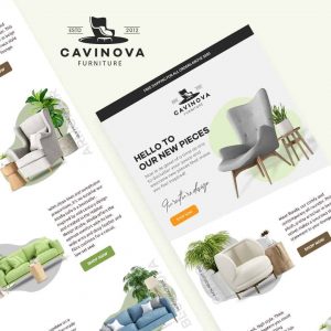 Read more about the article Cavinova