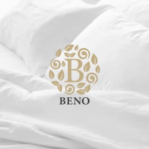 Read more about the article Beno