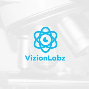 Read more about the article VizionLabz