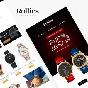 Read more about the article Rollirs