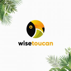 Read more about the article Wise Toucan